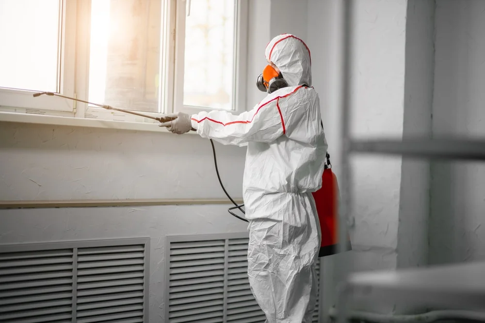 Professional mold remediation services in Valhermoso Springs, AL